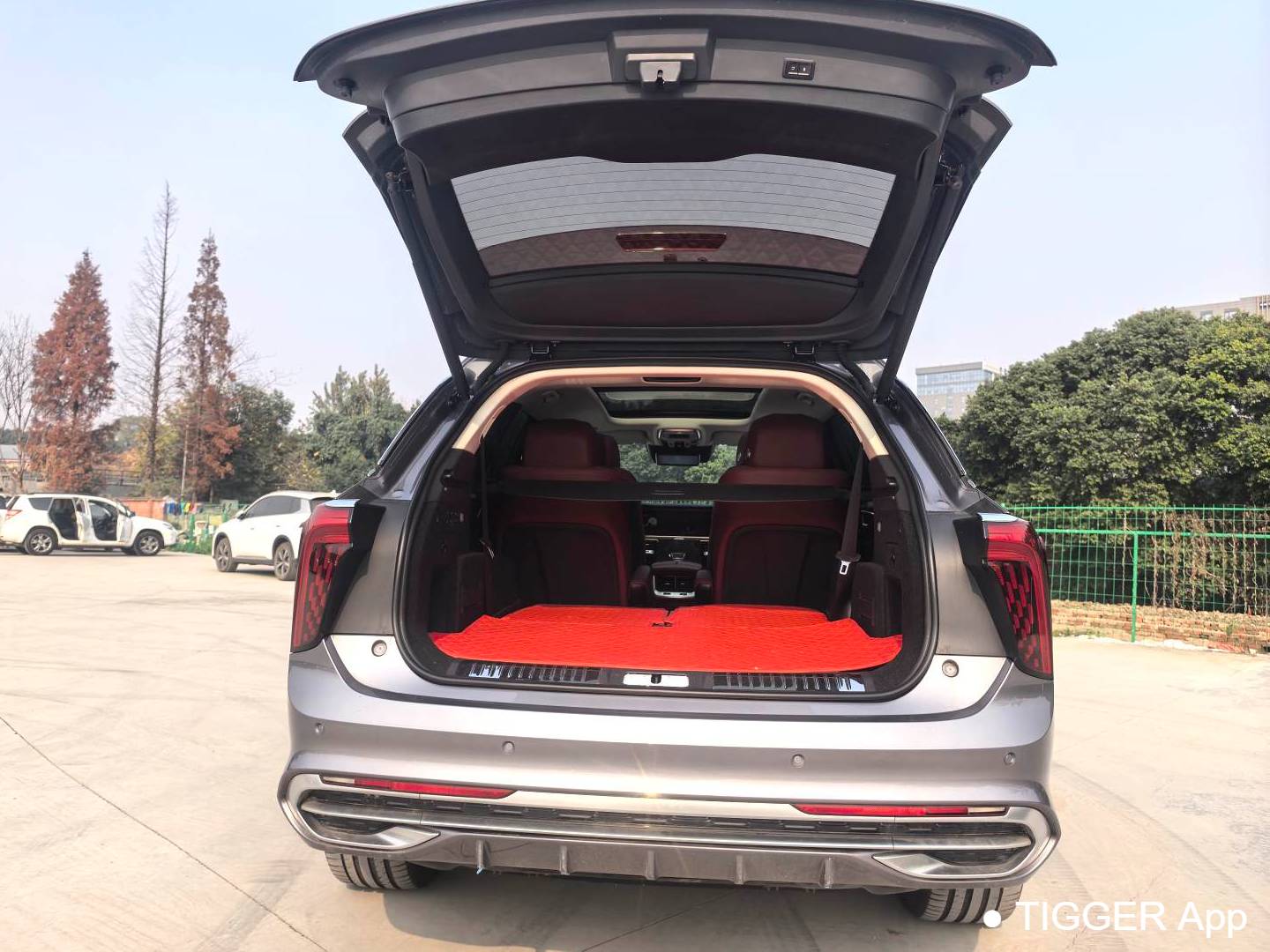 Hong Qi  2022 E-HS9 660km Qichang Edition 6-seater automatic transmission