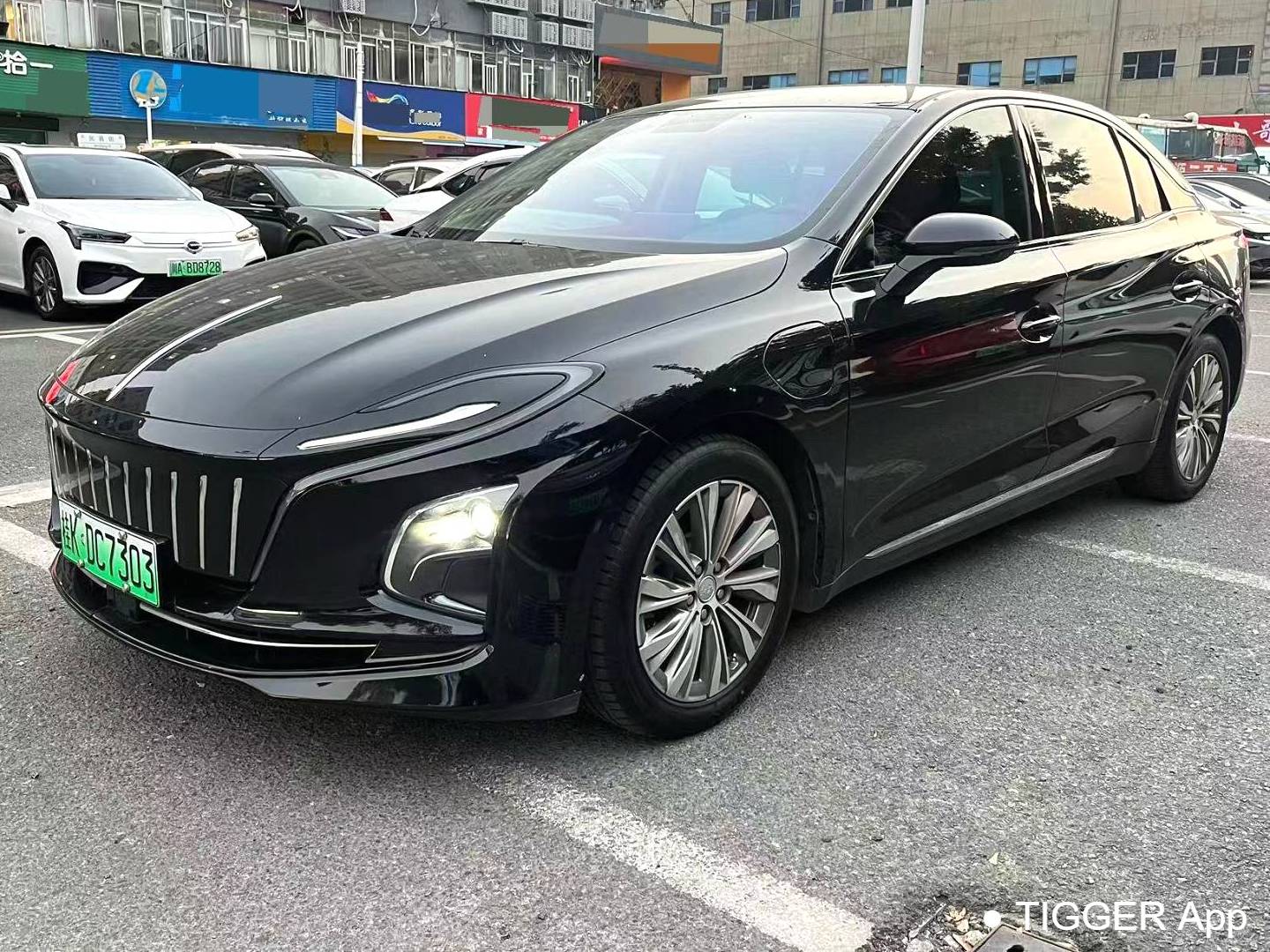 Hong Qi 2024 E-QM5 610km PLUS Automatic Transmission