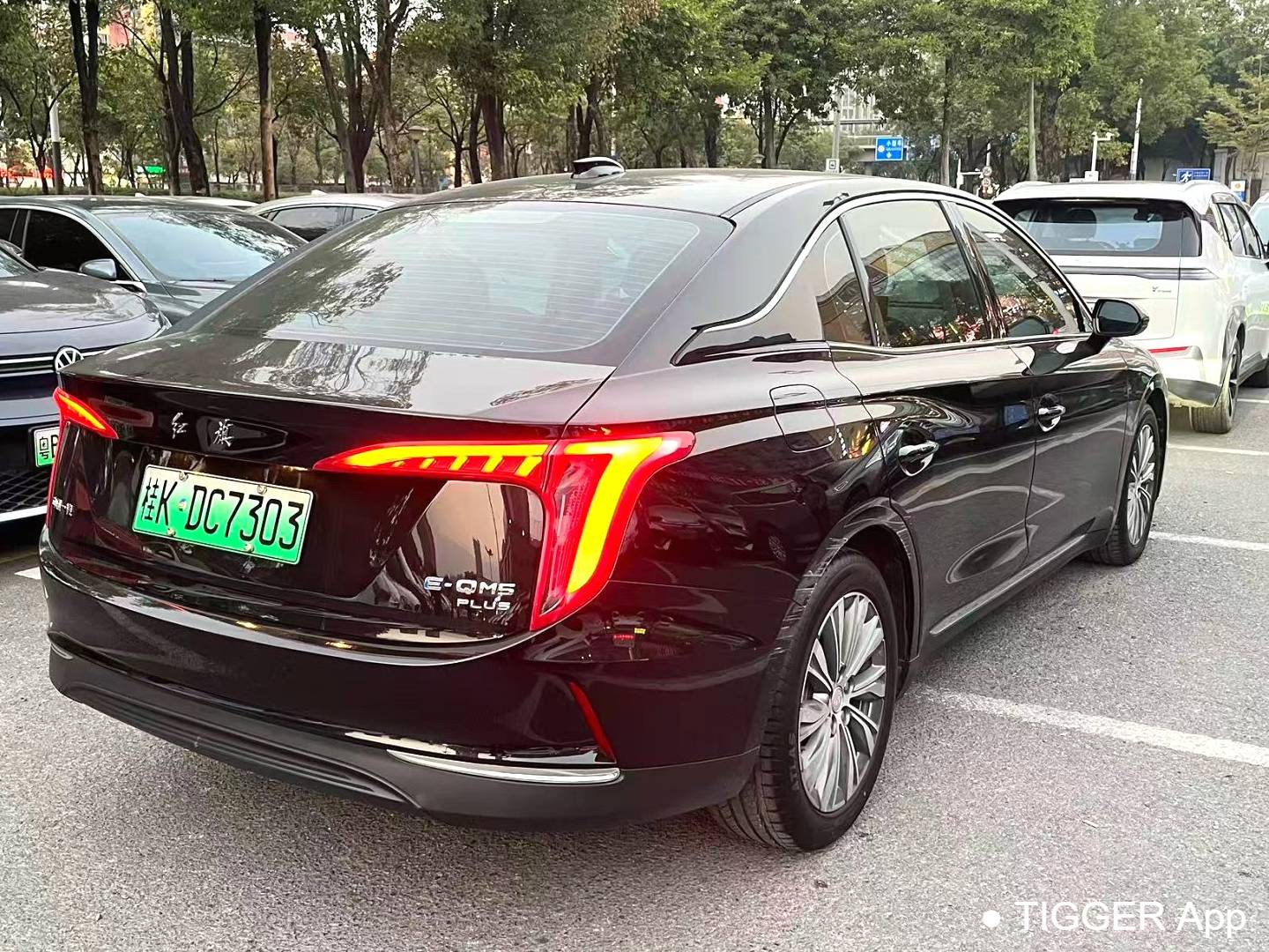 Hong Qi 2024 E-QM5 610km PLUS Automatic Transmission