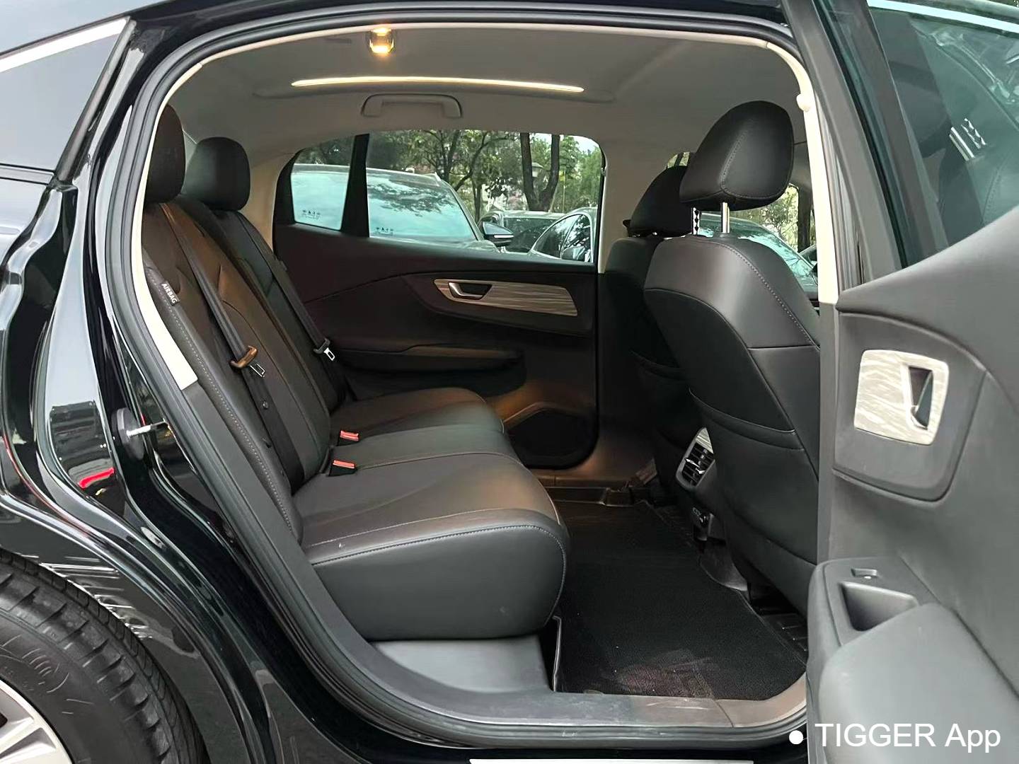 Hong Qi 2024 E-QM5 610km PLUS Automatic Transmission