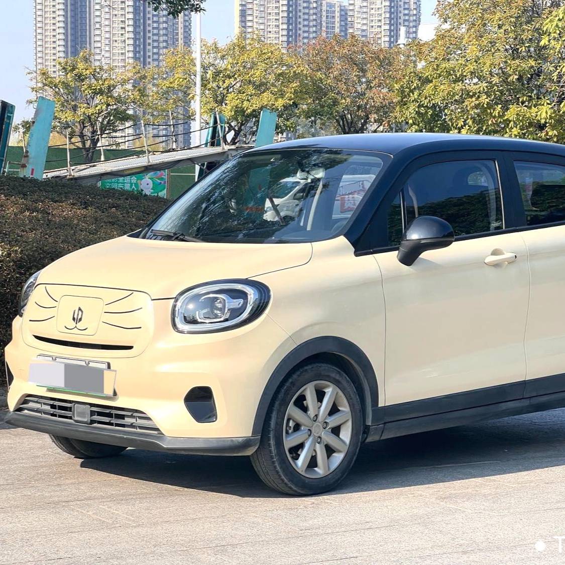 LEAP 2022 T03 Honyue Edition Automatic 二手车