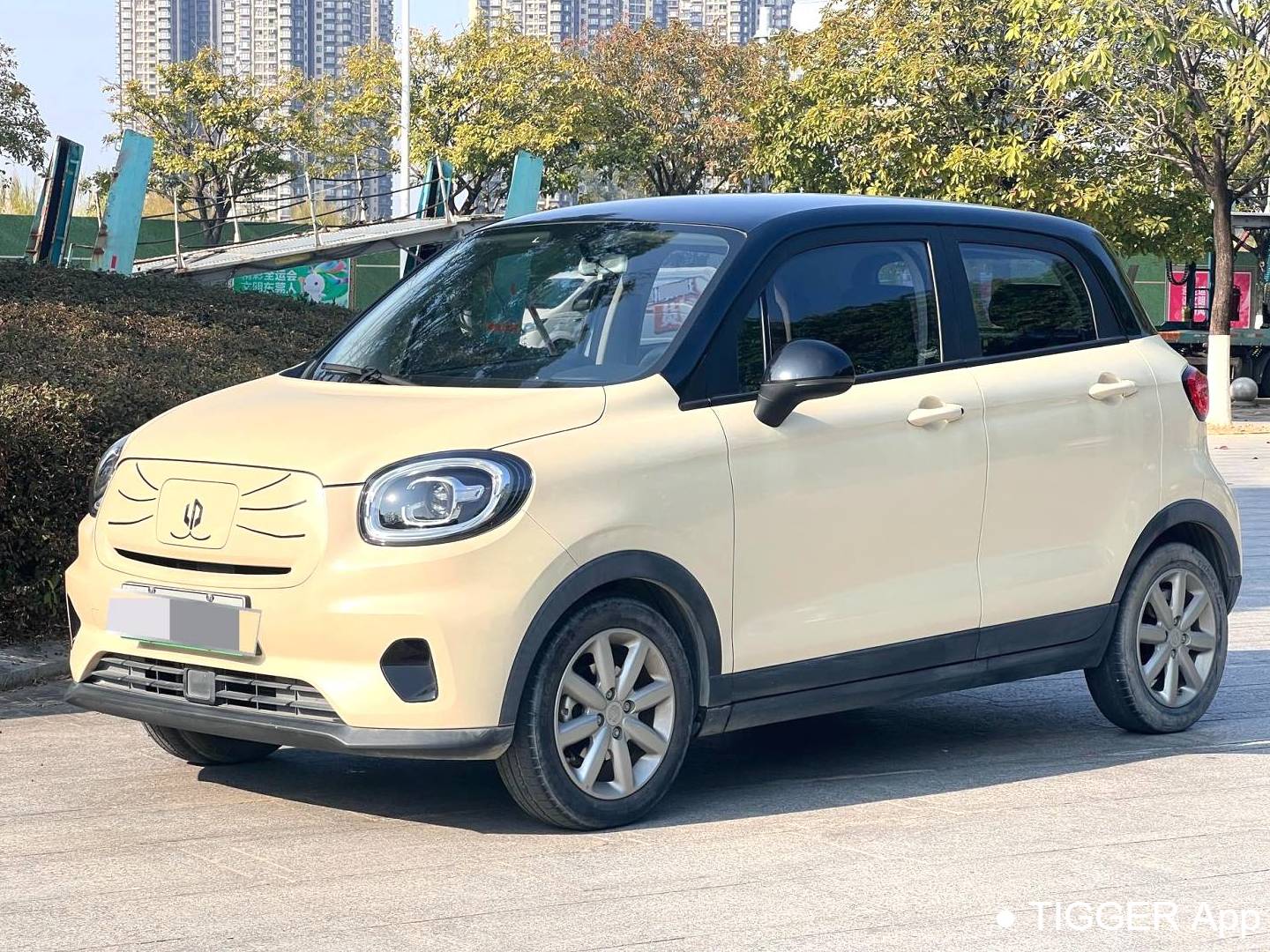 LEAP 2022 T03 Honyue Edition Automatic