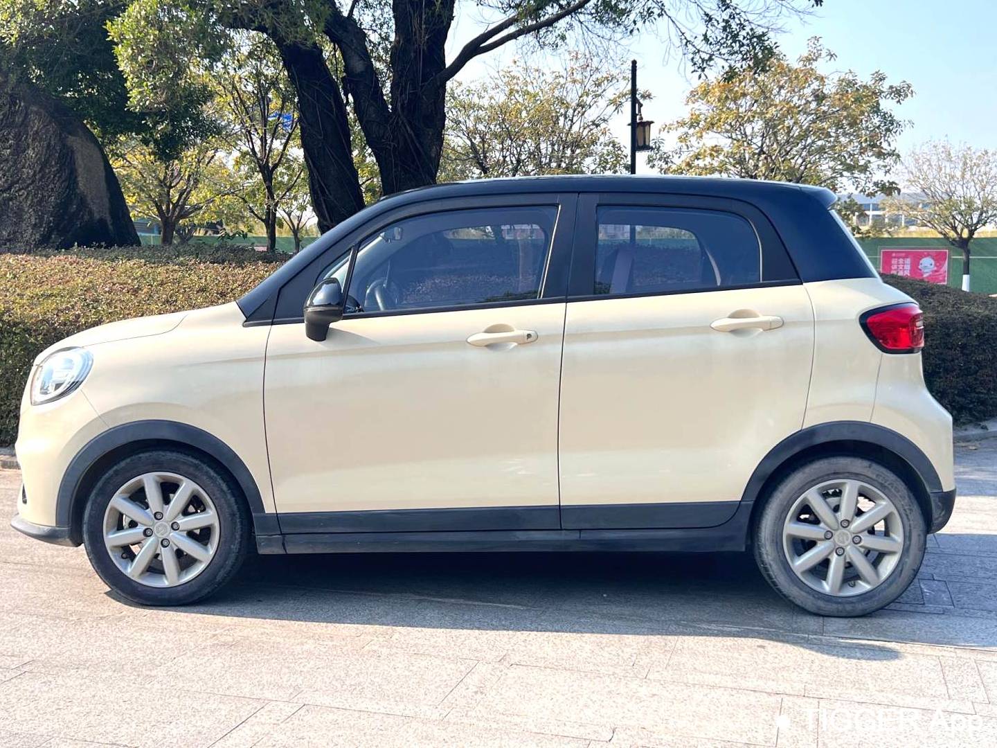 LEAP 2022 T03 Honyue Edition Automatic