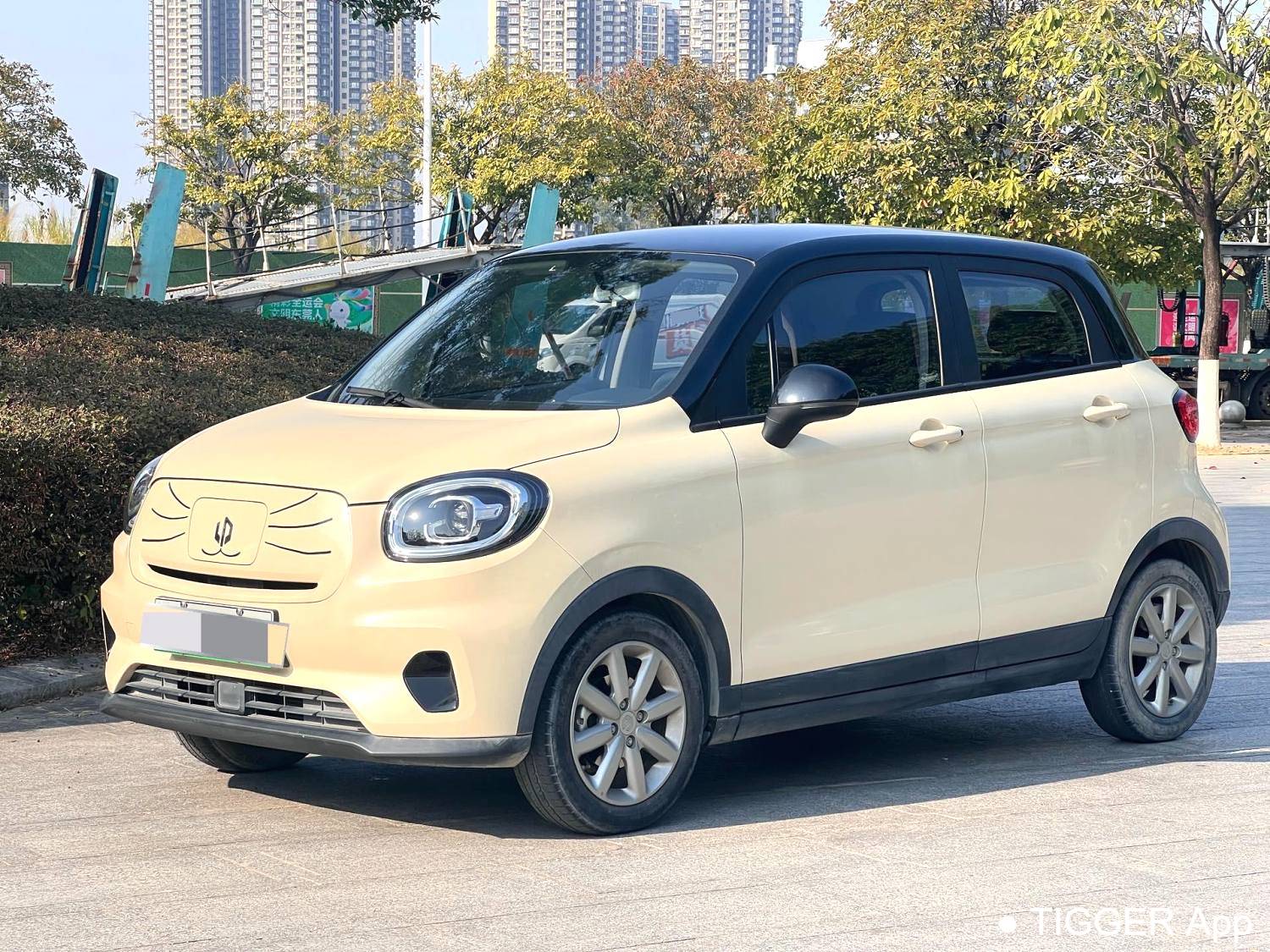 LEAP 2022 T03 Honyue Edition Automatic