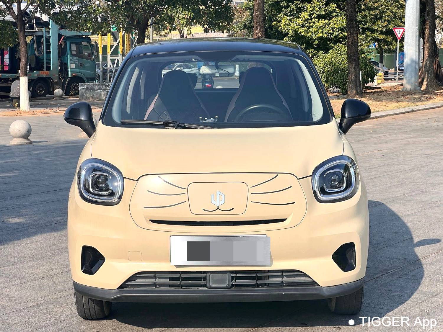 LEAP 2022 T03 Honyue Edition Automatic