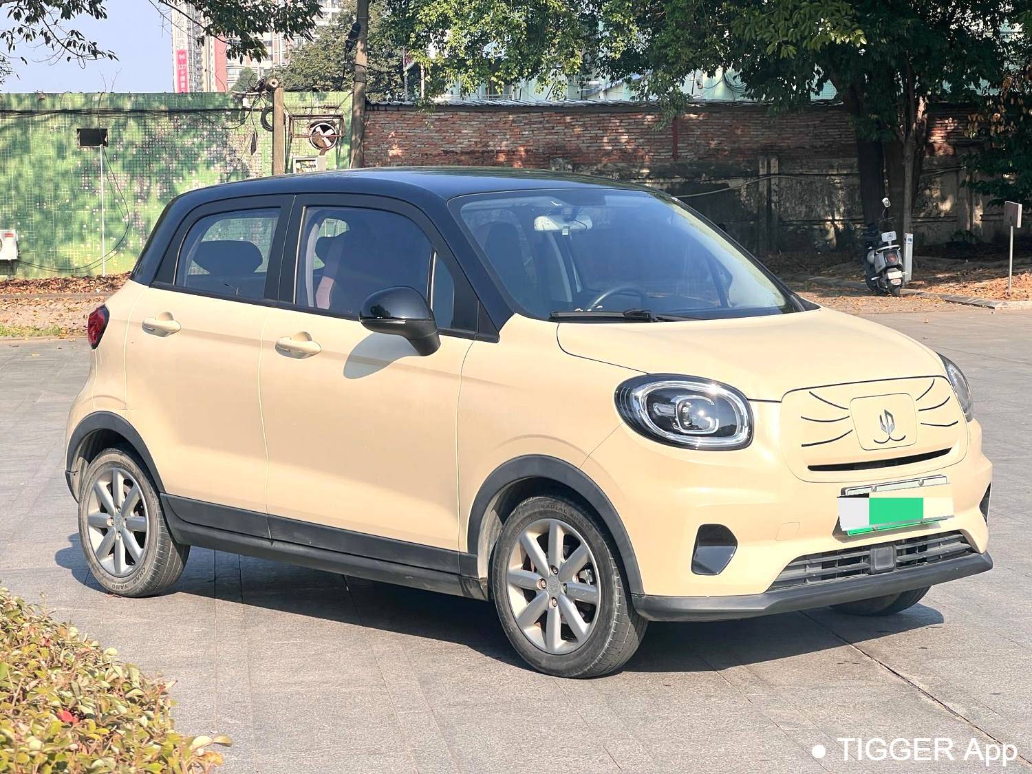 LEAP 2022 T03 Honyue Edition Automatic