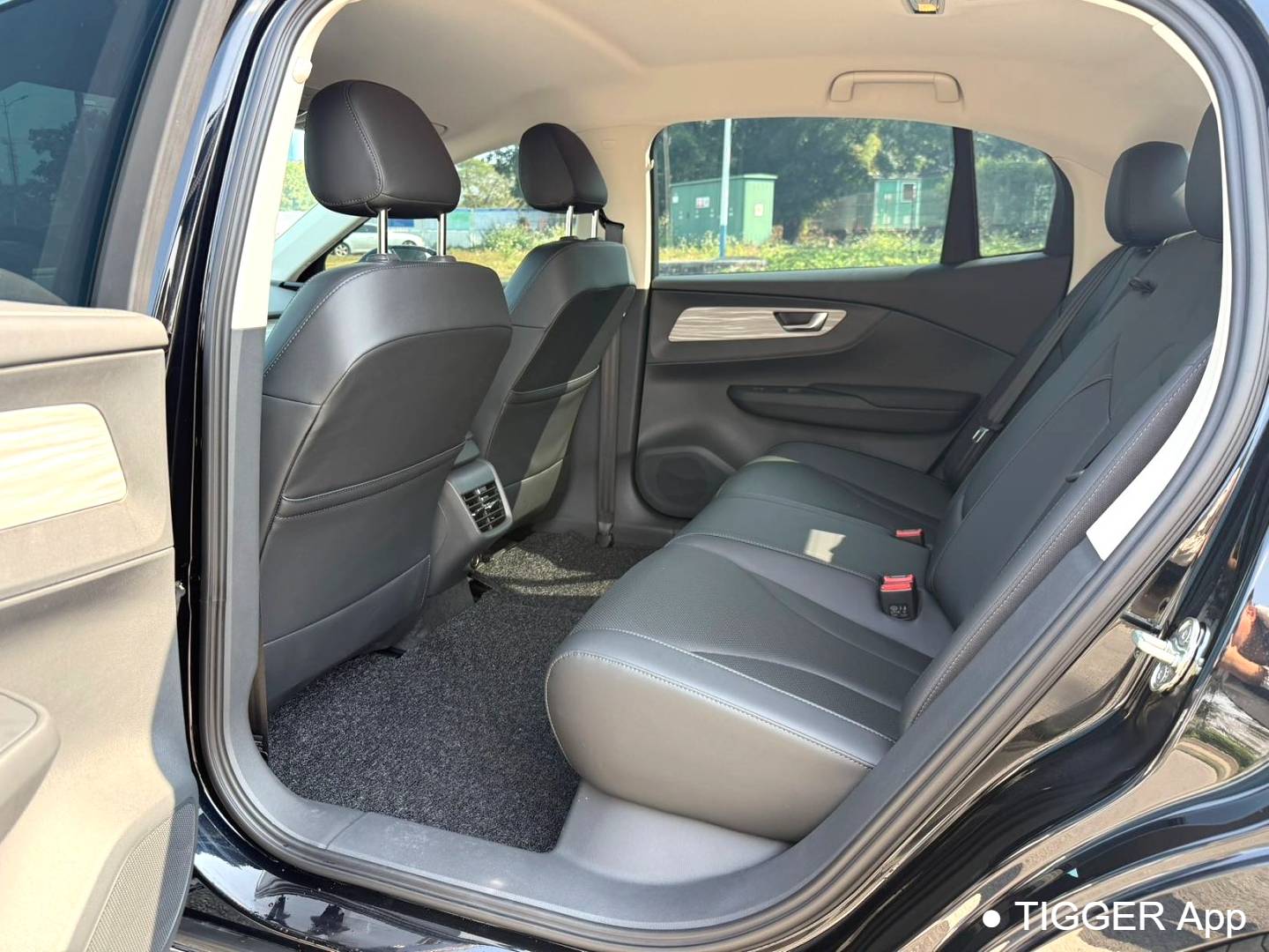 Hong Qi 2025 E-QM5 500km Mobility Edition Automatic Transmission