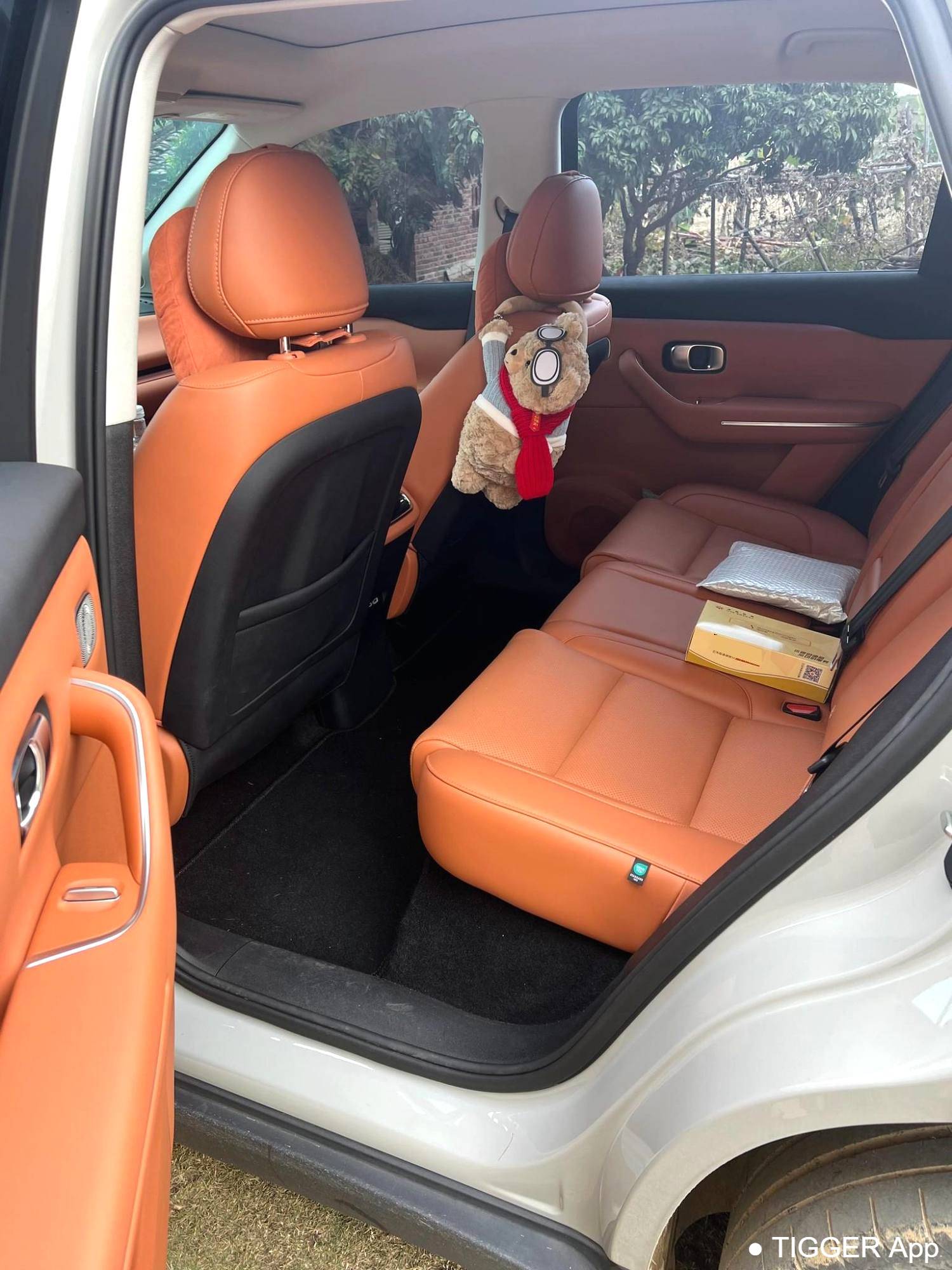 LEAP 2024 C10 210 Intelligent Edition Automatic Transmission