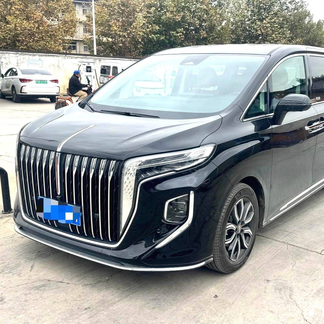 Hong Qi 2023 HQ9 48V 2.0T Intelligent Connection Flag Leading Edition Automatic Transmission Used Car