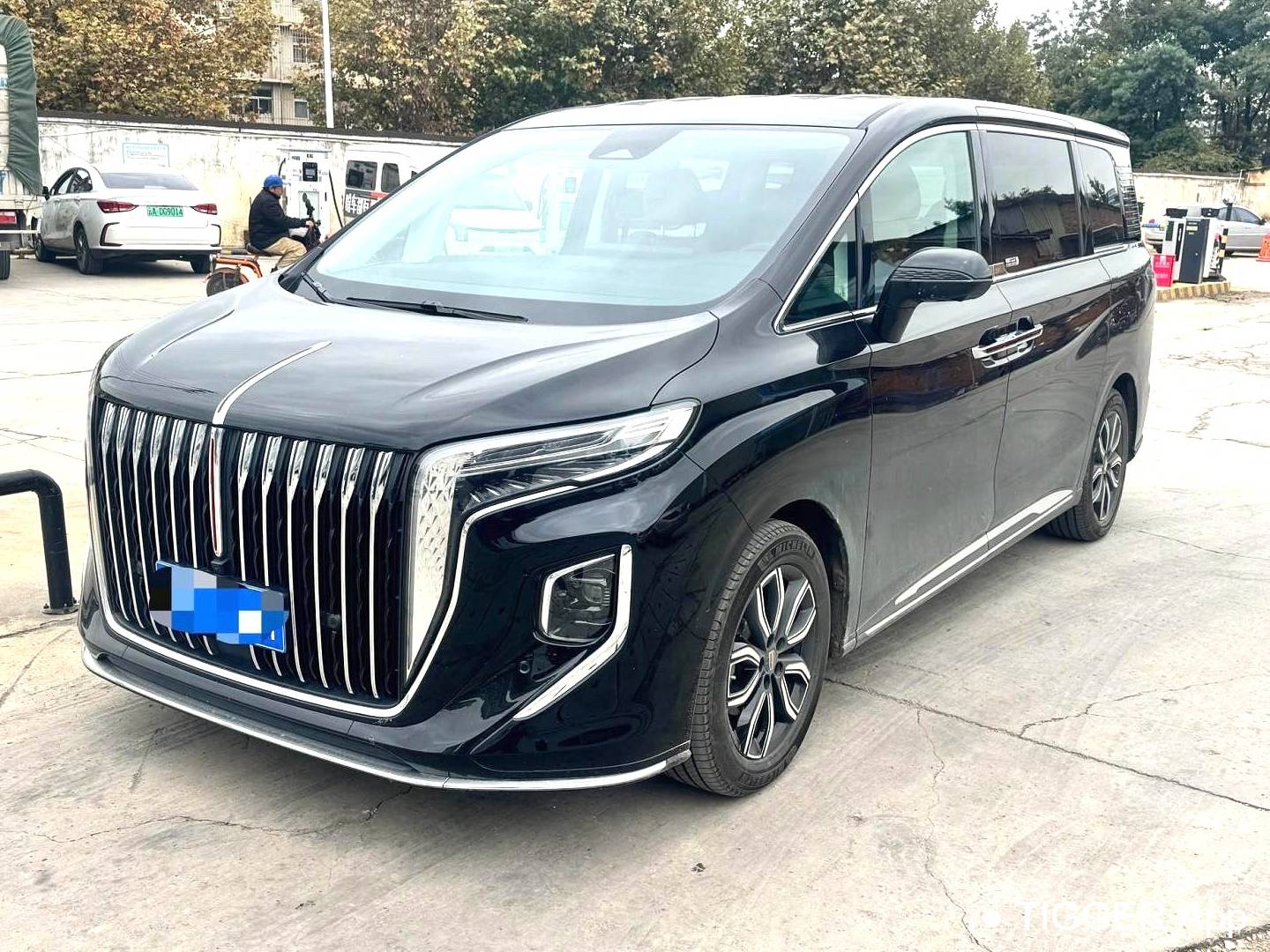 Hong Qi 2023 HQ9 48V 2.0T Intelligent Connection Flag Leading Edition Automatic Transmission