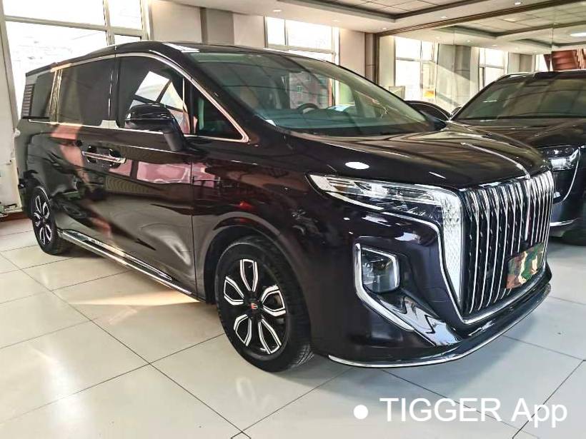 Hong Qi 2023 HQ9 48V 2.0T Intelligent Connection Qiyue Edition Automatic Transmission