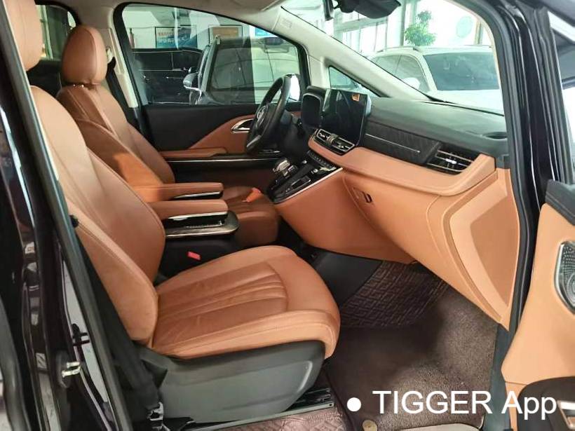 Hong Qi 2023 HQ9 48V 2.0T Intelligent Connection Qiyue Edition Automatic Transmission