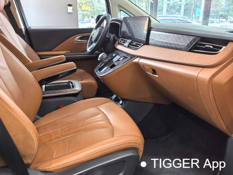 Hong Qi 2024 HQ9 PHEV 2.0T 4WD Business Edition Automatic Transmission