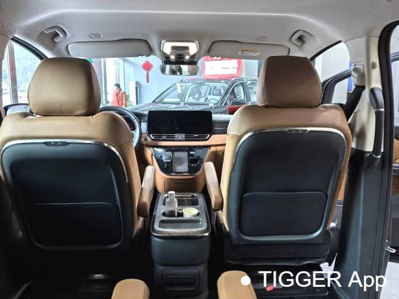 Hong Qi 2024 HQ9 PHEV 2.0T 4WD Business Edition Automatic Transmission