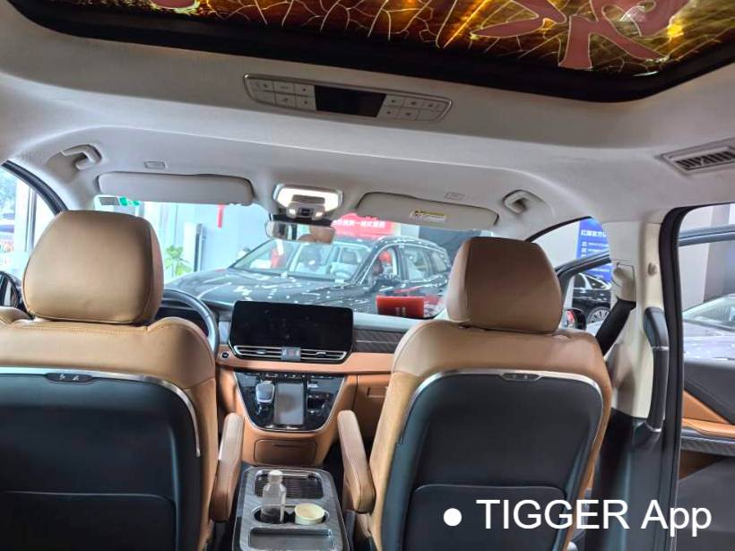 Hong Qi 2024 HQ9 PHEV 2.0T 4WD Business Edition Automatic Transmission