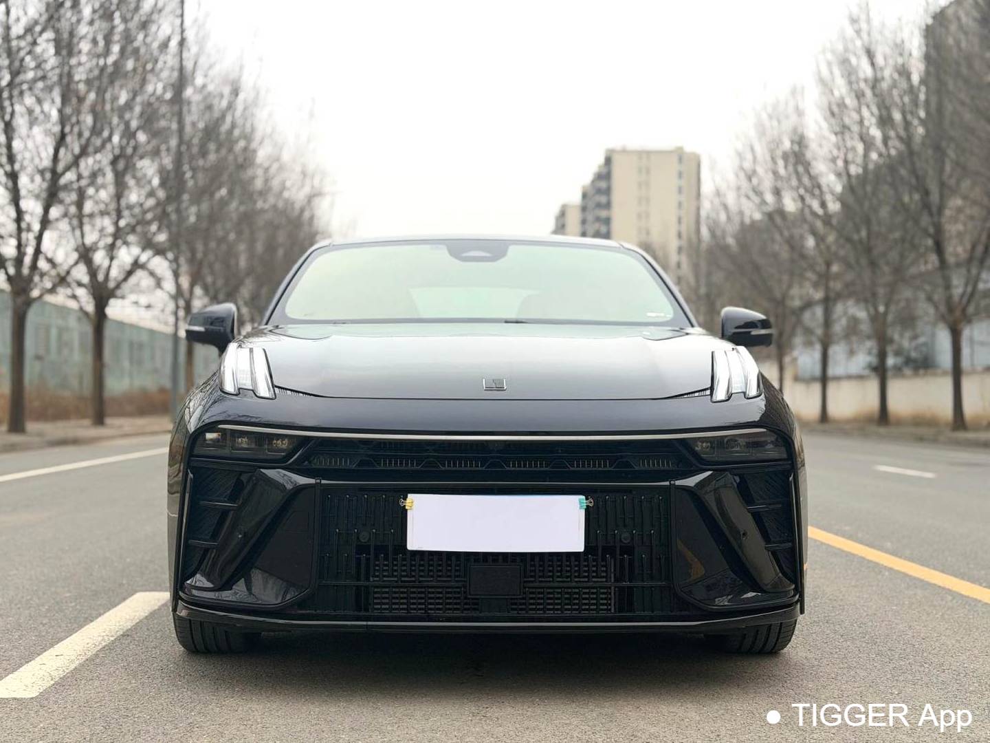 LYNK&CO 2023 LYNK&CO 03 1.5TD Power Pro Automatic Transmission