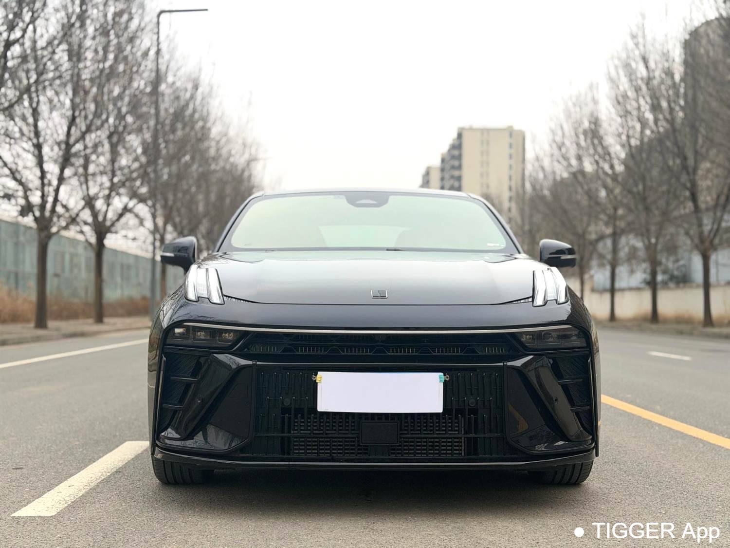 LYNK&CO 2023 LYNK&CO 03 1.5TD Power Pro Automatic Transmission