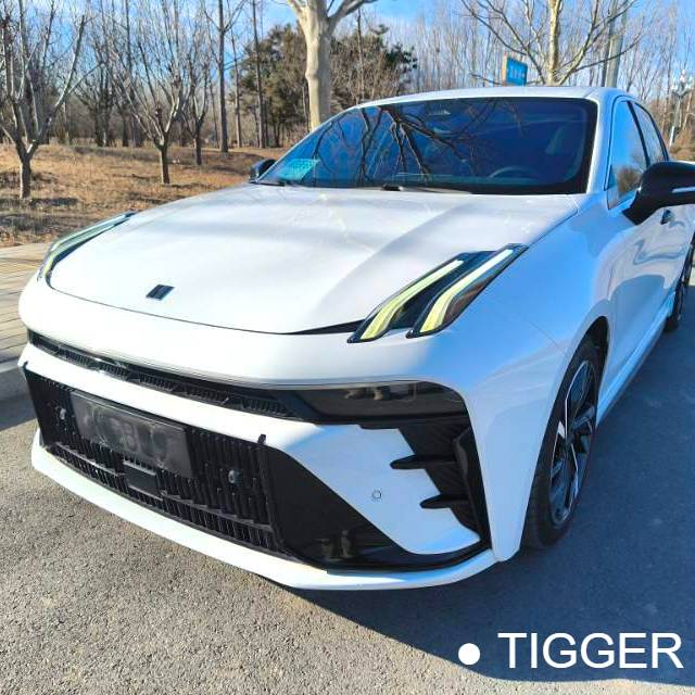 LYNK&CO 2023 LYNK&CO 03 EM-F 1.5T PM Automatic Transmission Used Car