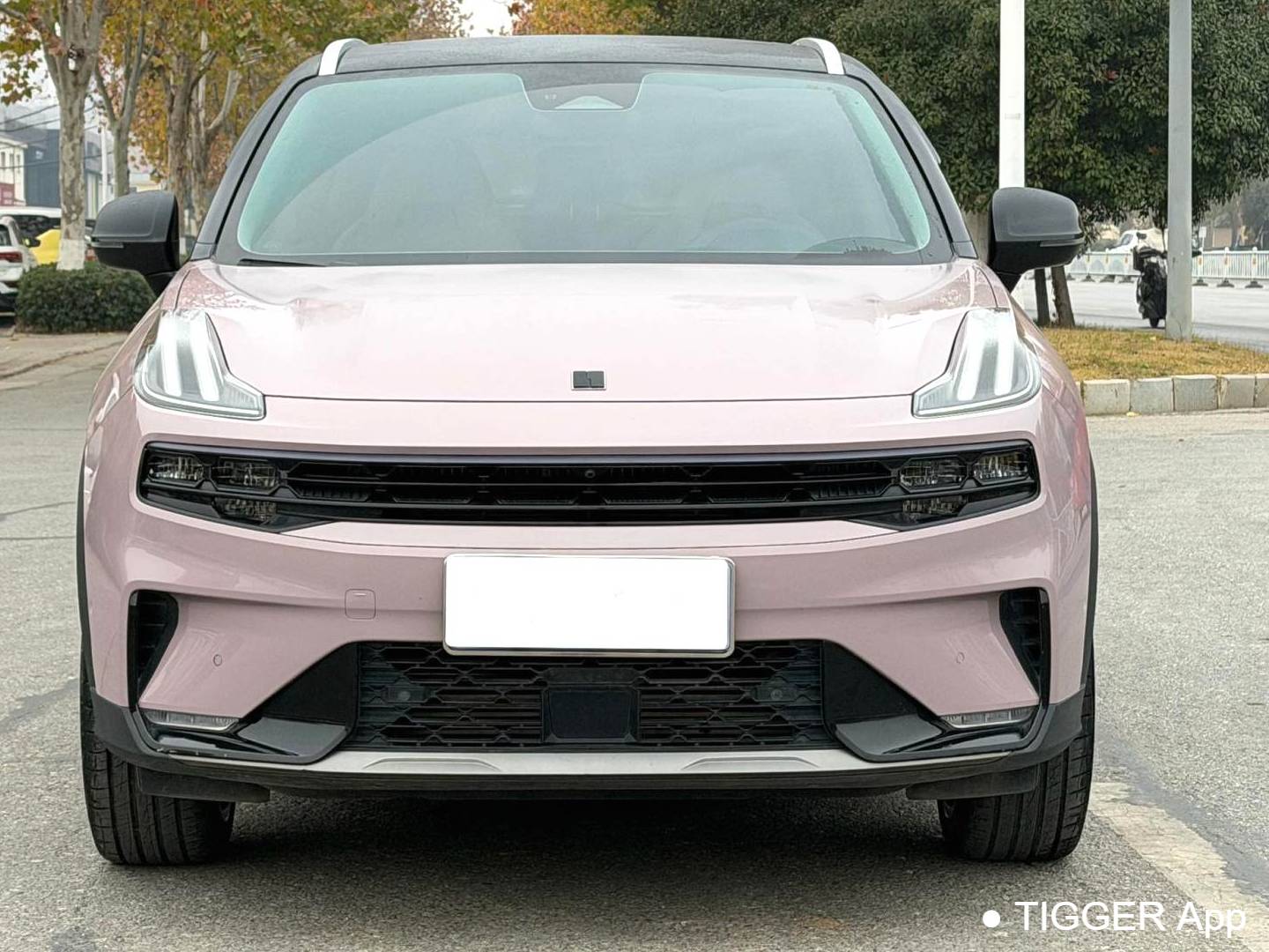 LYNK&CO 2022 LYNK&CO 06 1.5TD Shero Pink Special Edition Automatic Transmission