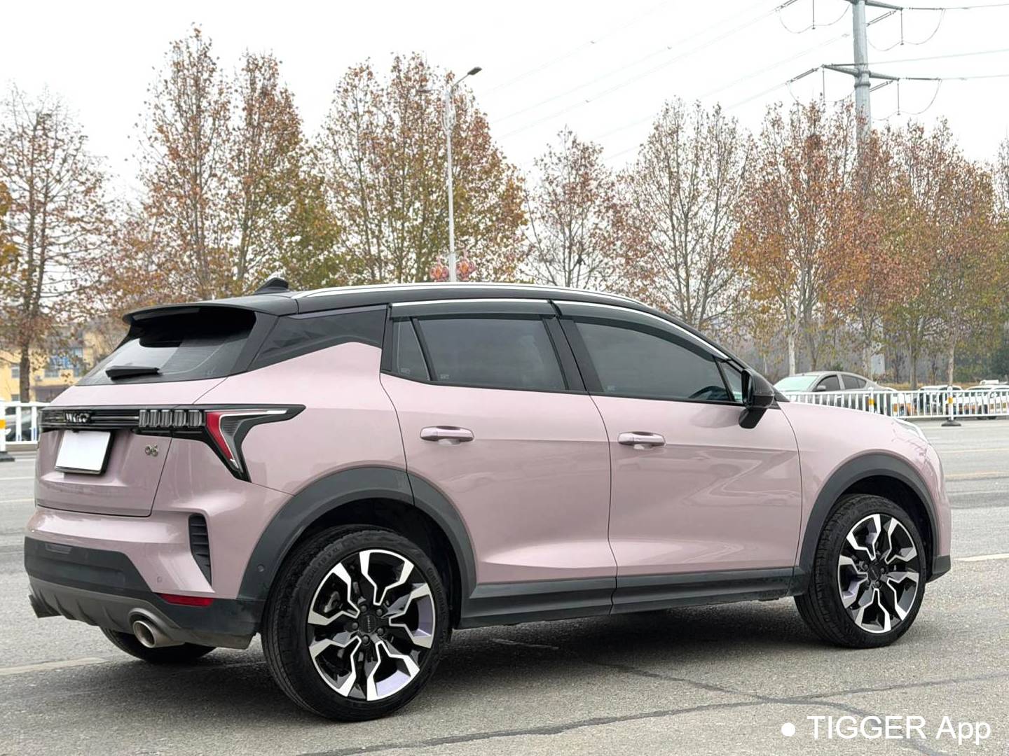 LYNK&CO 2022 LYNK&CO 06 1.5TD Shero Pink Special Edition Automatic Transmission