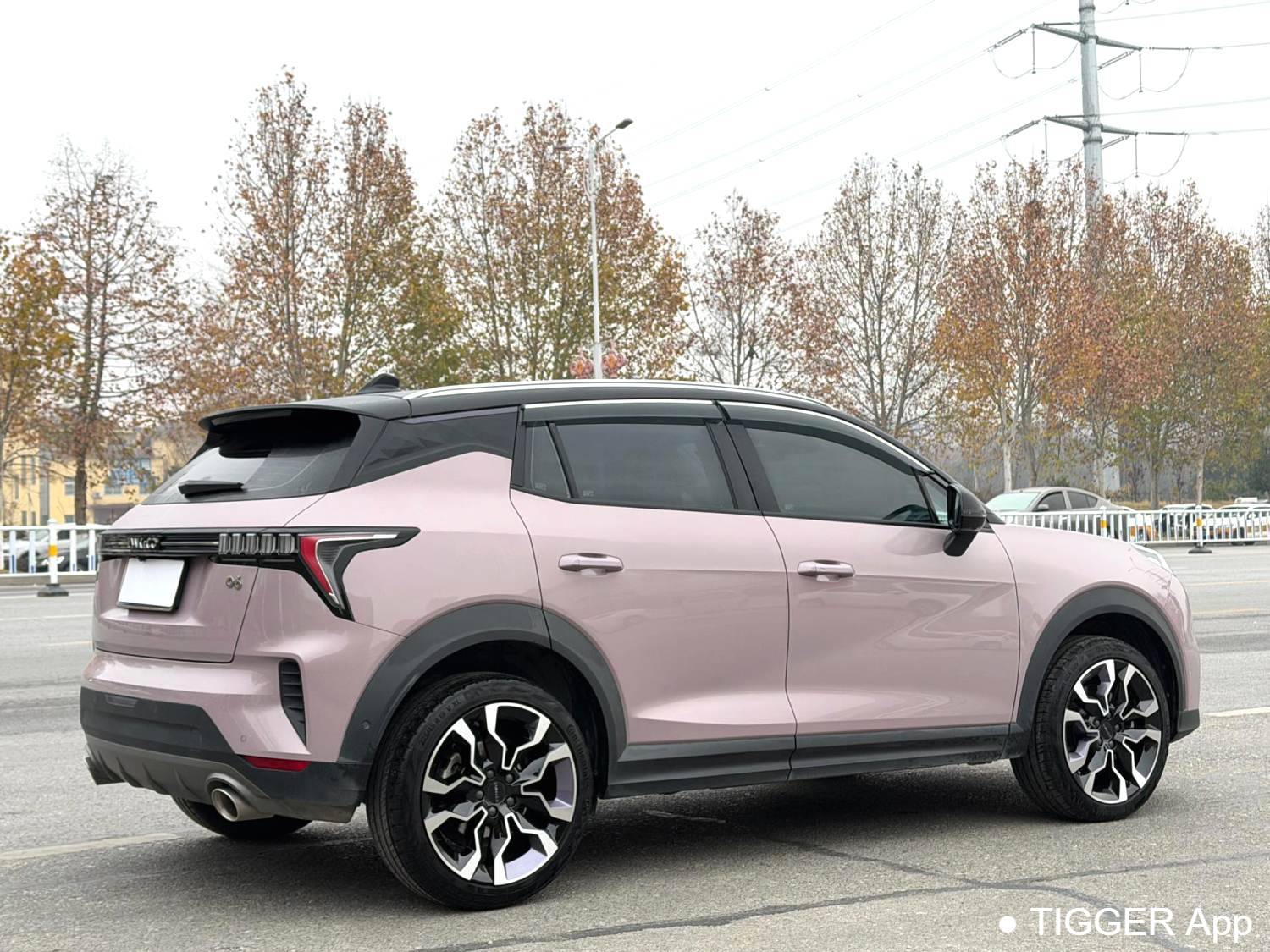 LYNK&CO 2022 LYNK&CO 06 1.5TD Shero Pink Special Edition Automatic Transmission