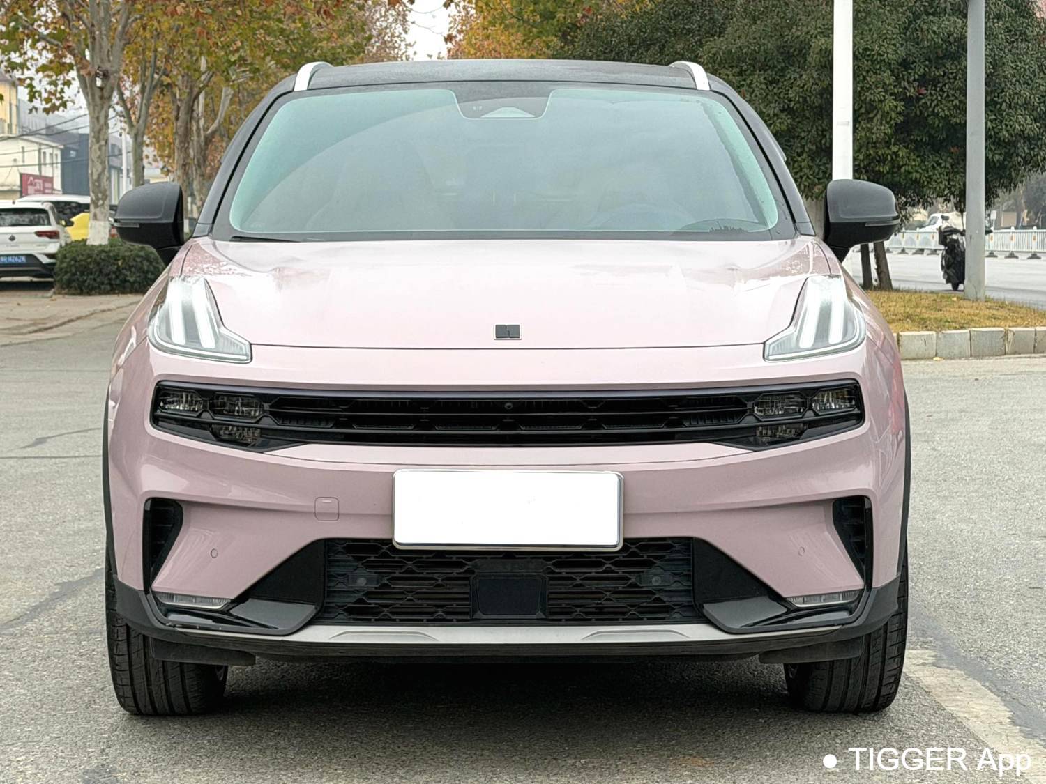 LYNK&CO 2022 LYNK&CO 06 1.5TD Shero Pink Special Edition Automatic Transmission