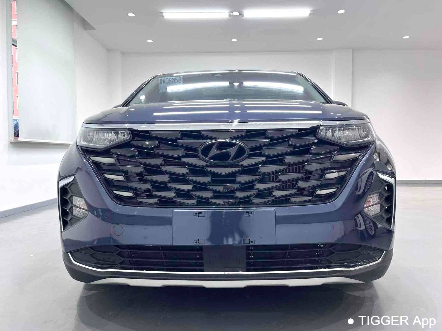 HYUNDAI 2021 Custo 2.0TGDi 380TGDi LUX Premium Intelligent Love Premium Automatic Transmission
