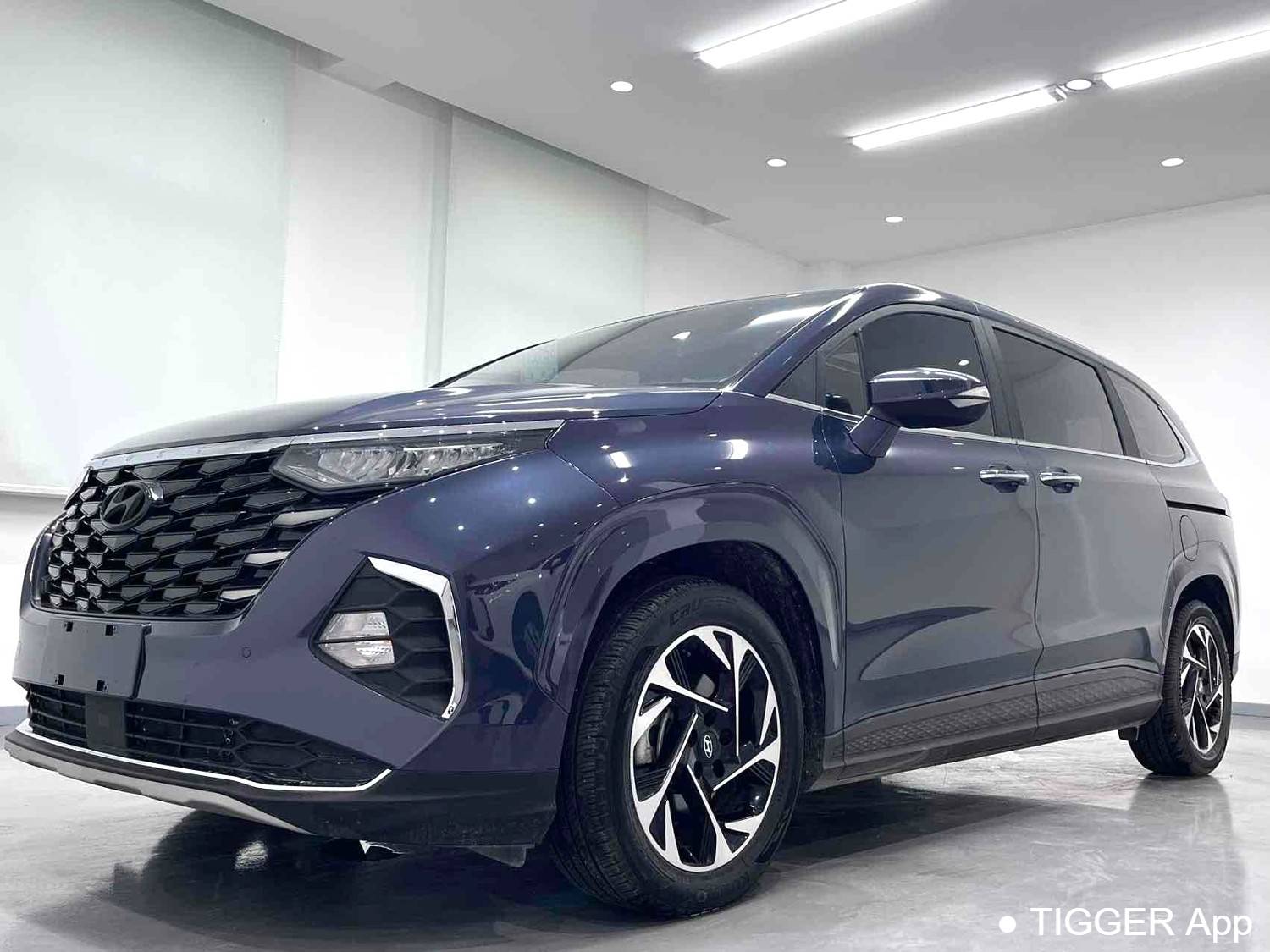 HYUNDAI 2021 Custo 2.0TGDi 380TGDi LUX Premium Intelligent Love Premium Automatic Transmission