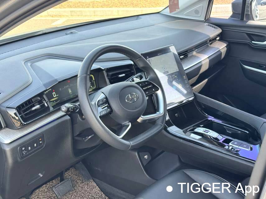 HYUNDAI 2021 Custo 2.0TGDi 380TGDi TOP Premium Intelligent Love Flagship Edition Automatic Transmission