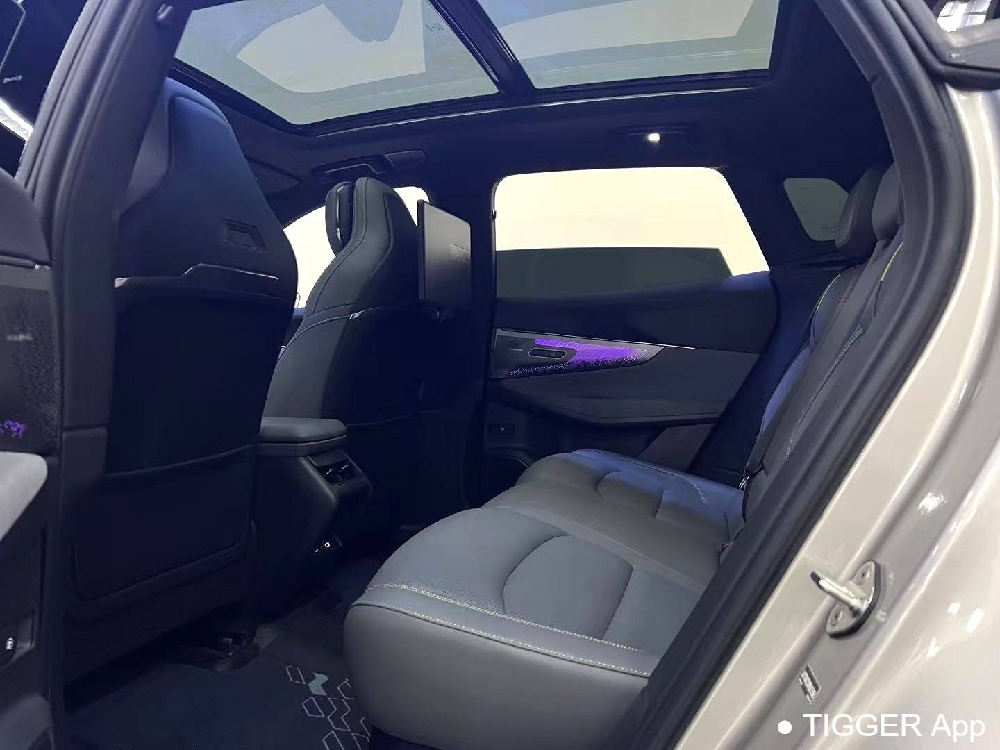 LYNK&CO  2023 LYNK&CO  08 EM-P 1.5T 120km Long Range Halo Automatic Transmission