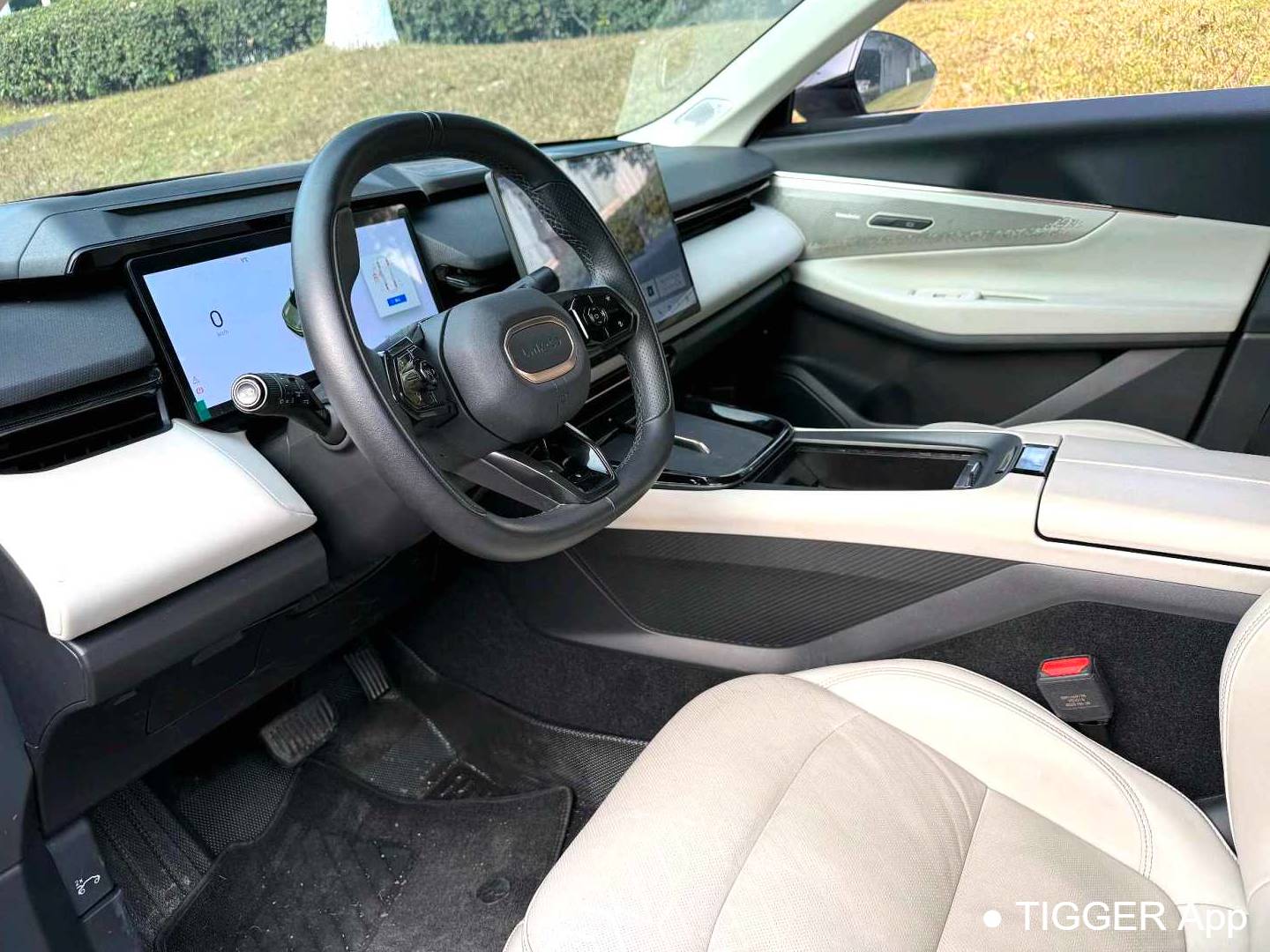 LYNK&CO 2023 LYNK&CO 08 EM-P 1.5T 220km Limited Edition Automatic Transmission