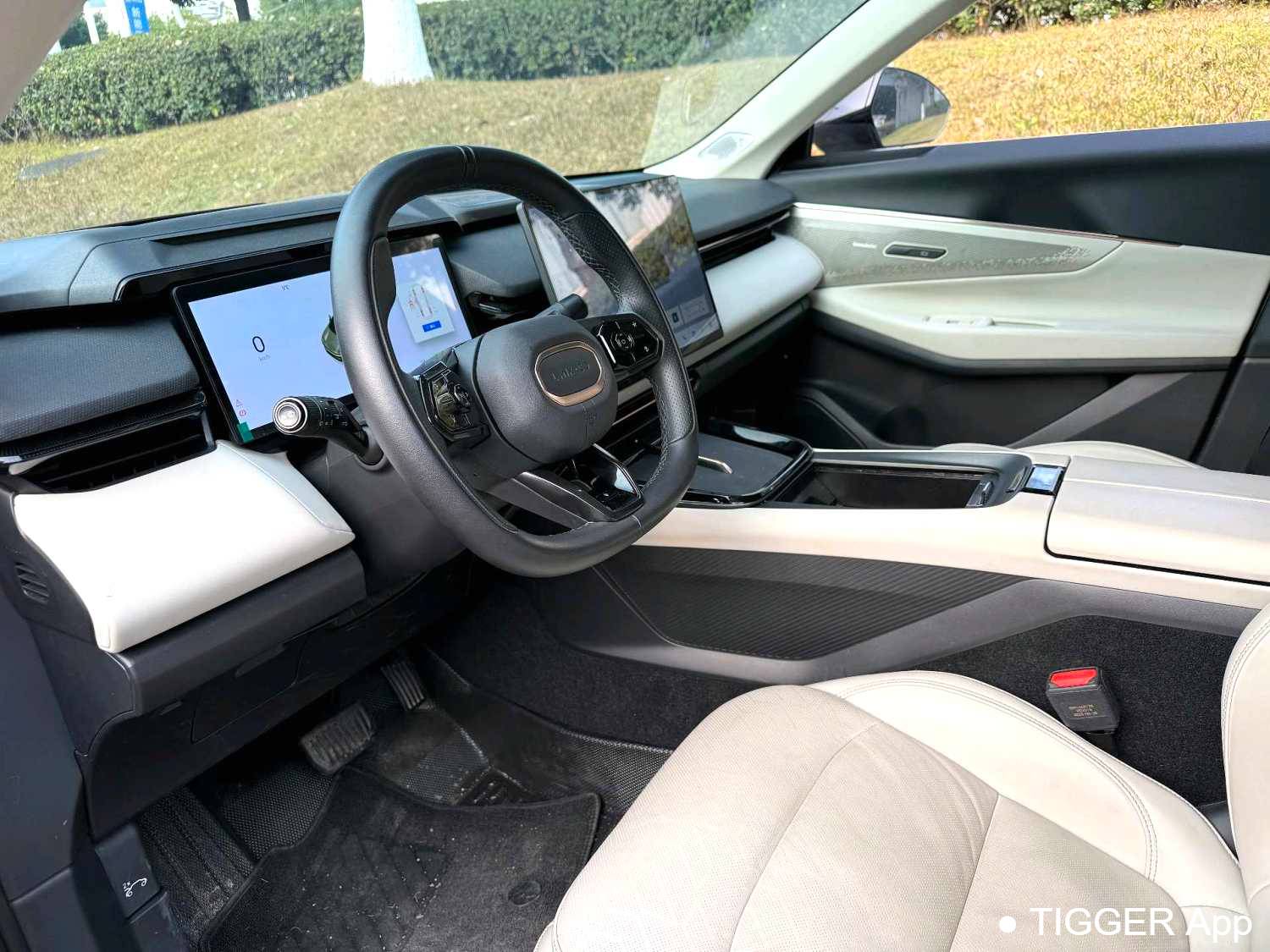 LYNK&CO 2023 LYNK&CO 08 EM-P 1.5T 220km Limited Edition Automatic Transmission