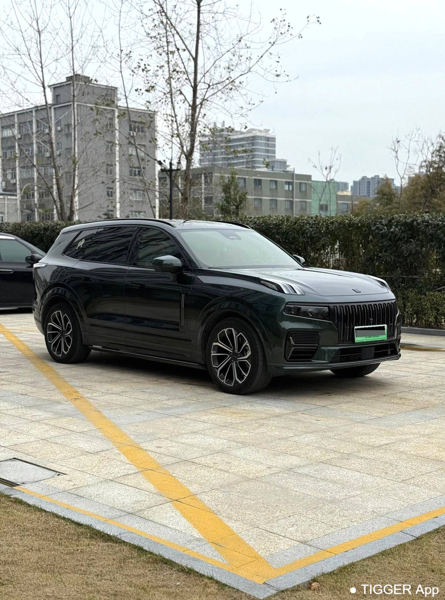 LYNK&CO  2024 LYNK&CO  09 EM-P 2.0TD ULTRA 6-seater automatic transmission