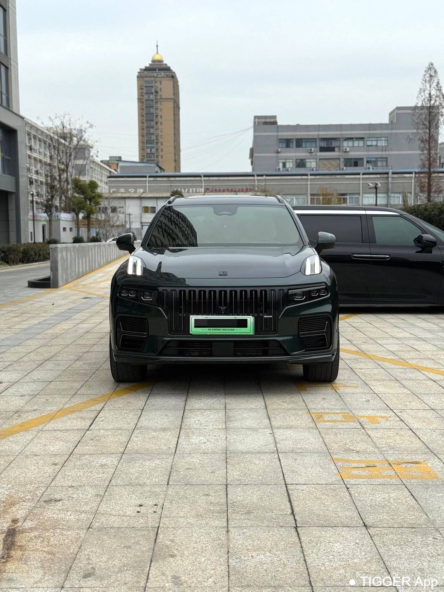 LYNK&CO  2024 LYNK&CO  09 EM-P 2.0TD ULTRA 6-seater automatic transmission