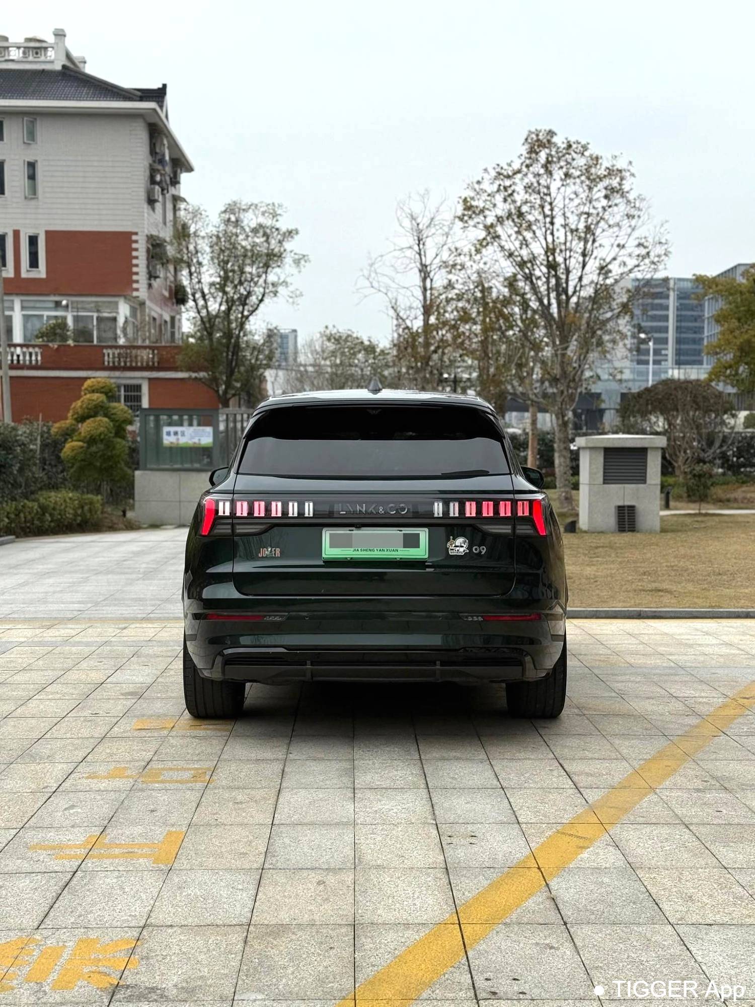 LYNK&CO  2024 LYNK&CO  09 EM-P 2.0TD ULTRA 6-seater automatic transmission