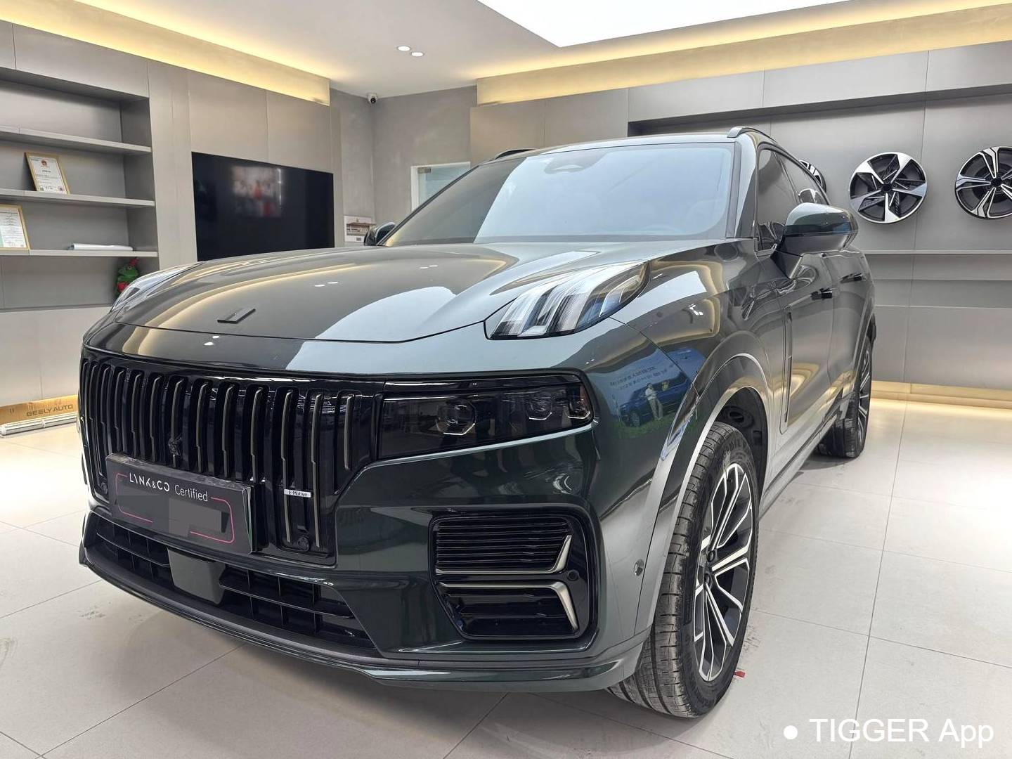 LYNK&CO  2024 LYNK&CO  09 EM-P 2.0TD ULTRA 6-seater automatic transmission