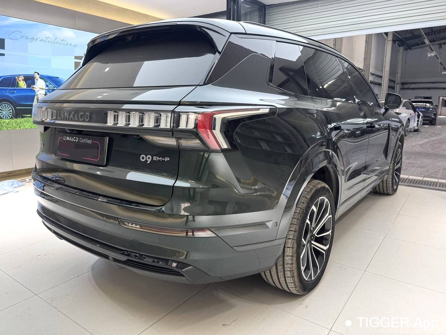 LYNK&CO  2024 LYNK&CO  09 EM-P 2.0TD ULTRA 6-seater automatic transmission