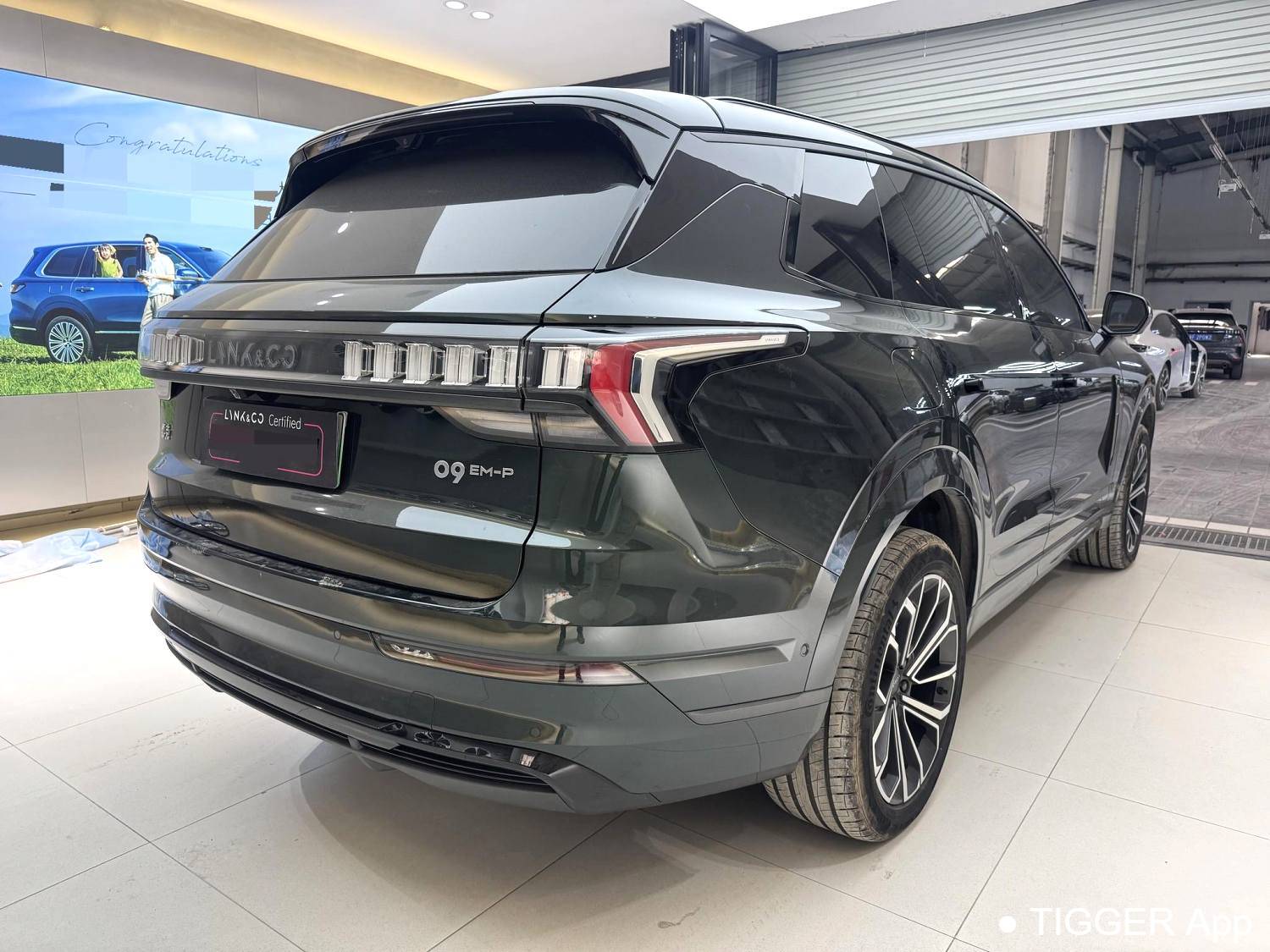 LYNK&CO  2024 LYNK&CO  09 EM-P 2.0TD ULTRA 6-seater automatic transmission