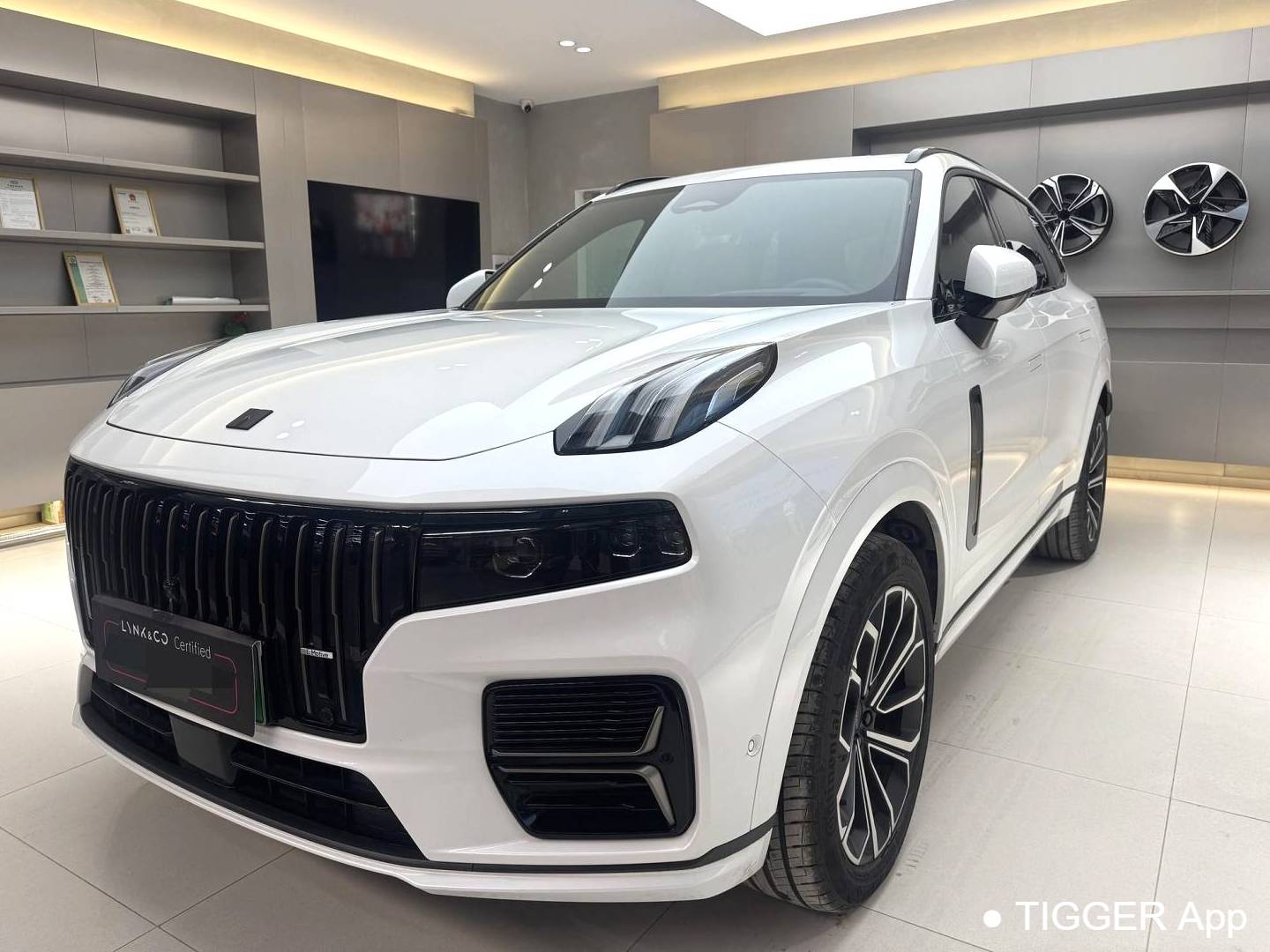 LYNK&CO 2025 LYNK&CO 09 EM-P 2.0TD four-wheel drive Max5-seater automatic transmission