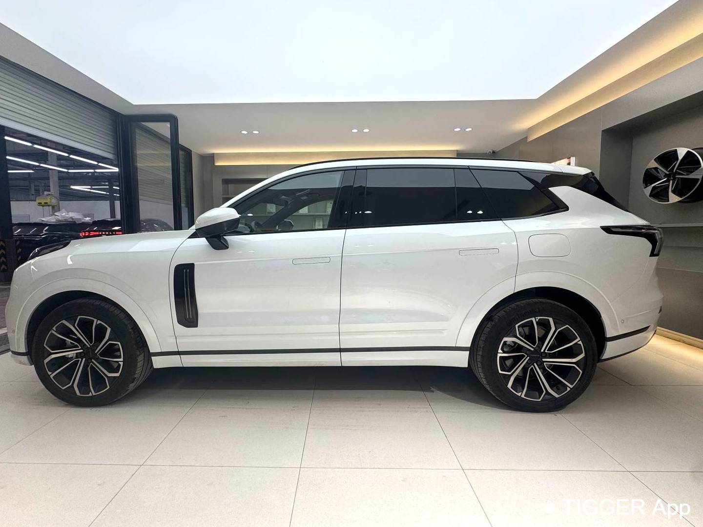 LYNK&CO 2025 LYNK&CO 09 EM-P 2.0TD four-wheel drive Max5-seater automatic transmission