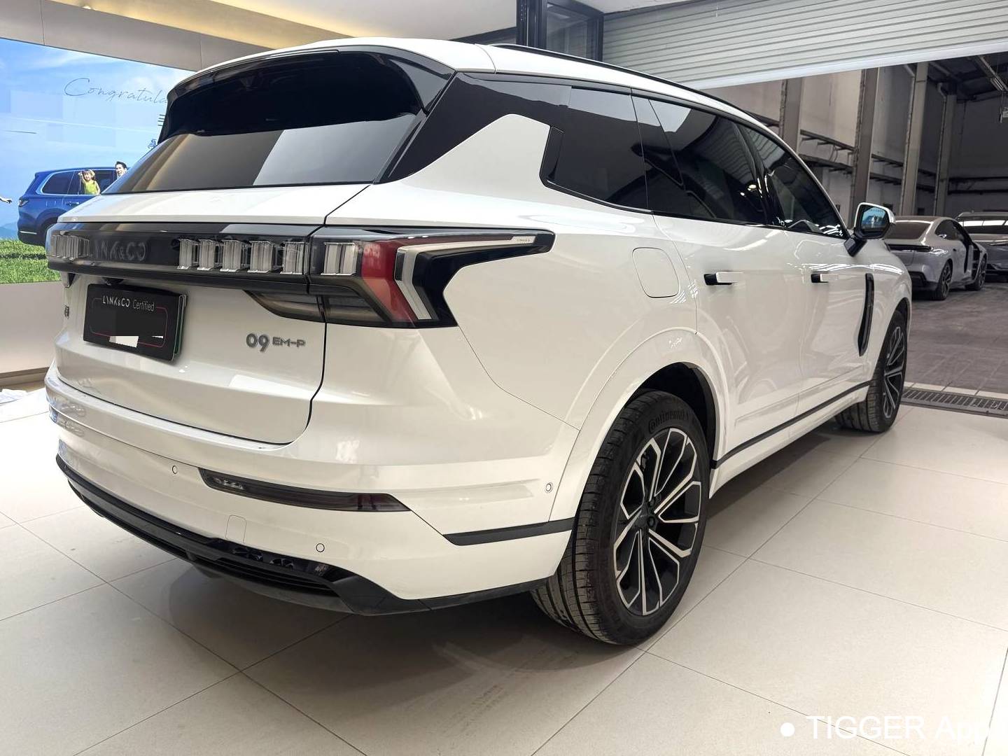 LYNK&CO 2025 LYNK&CO 09 EM-P 2.0TD four-wheel drive Max5-seater automatic transmission