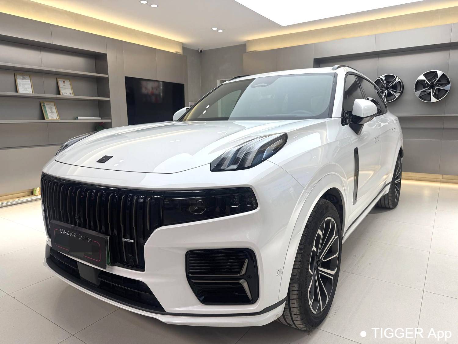 LYNK&CO 2025 LYNK&CO 09 EM-P 2.0TD four-wheel drive Max5-seater automatic transmission