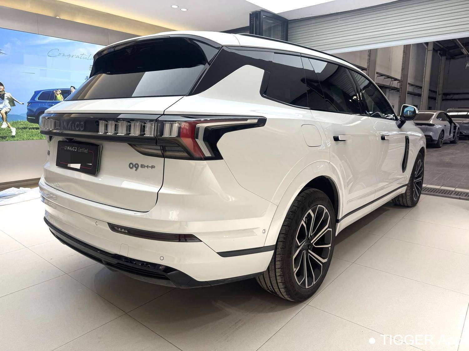 LYNK&CO 2025 LYNK&CO 09 EM-P 2.0TD four-wheel drive Max5-seater automatic transmission