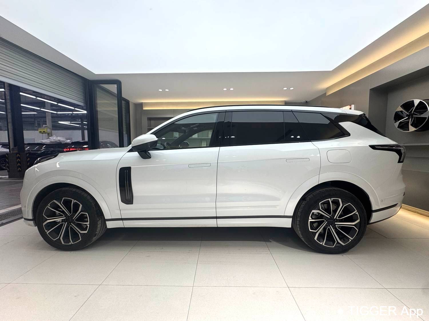 LYNK&CO 2025 LYNK&CO 09 EM-P 2.0TD four-wheel drive Max5-seater automatic transmission