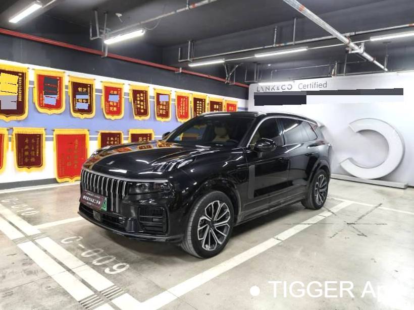 LYNK&CO  2023 LYNK&CO  09 EM-P 2.0TD Asian Games Executive Edition 5-seater automatic transmission