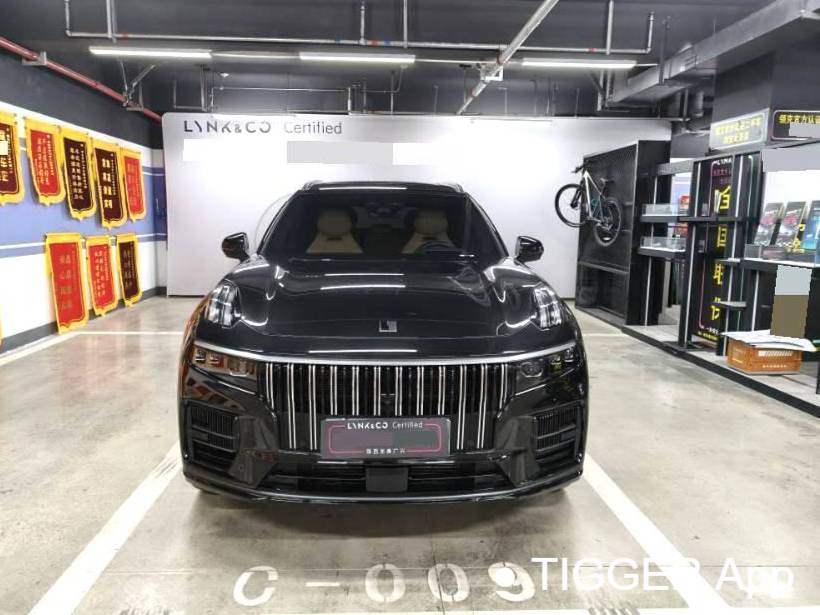 LYNK&CO  2023 LYNK&CO  09 EM-P 2.0TD Asian Games Executive Edition 5-seater automatic transmission