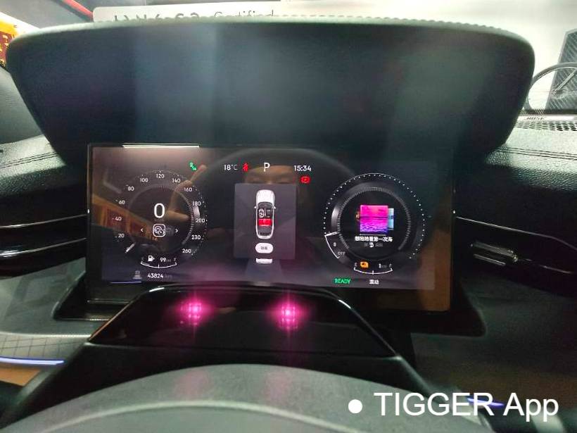 LYNK&CO  2023 LYNK&CO  09 EM-P 2.0TD Asian Games Executive Edition 5-seater automatic transmission