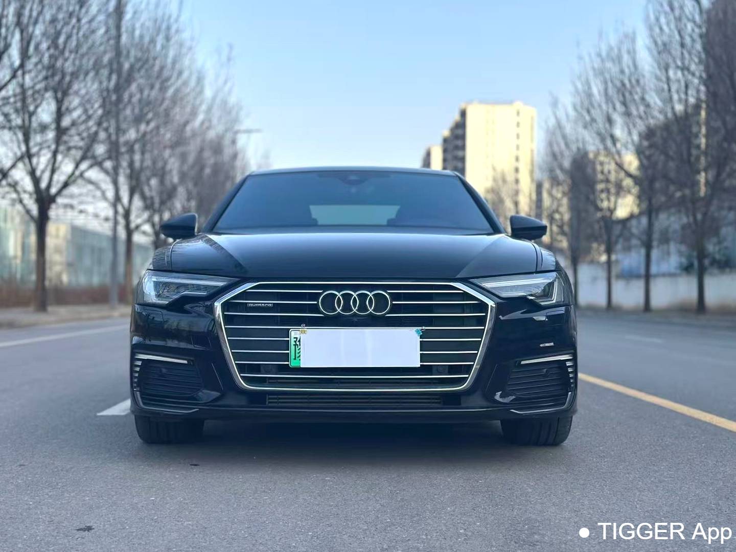 Audi A6L New Energy 2023 A6L e-tron 2.0TFSI 55TFSI e Quattro Automatic Transmission