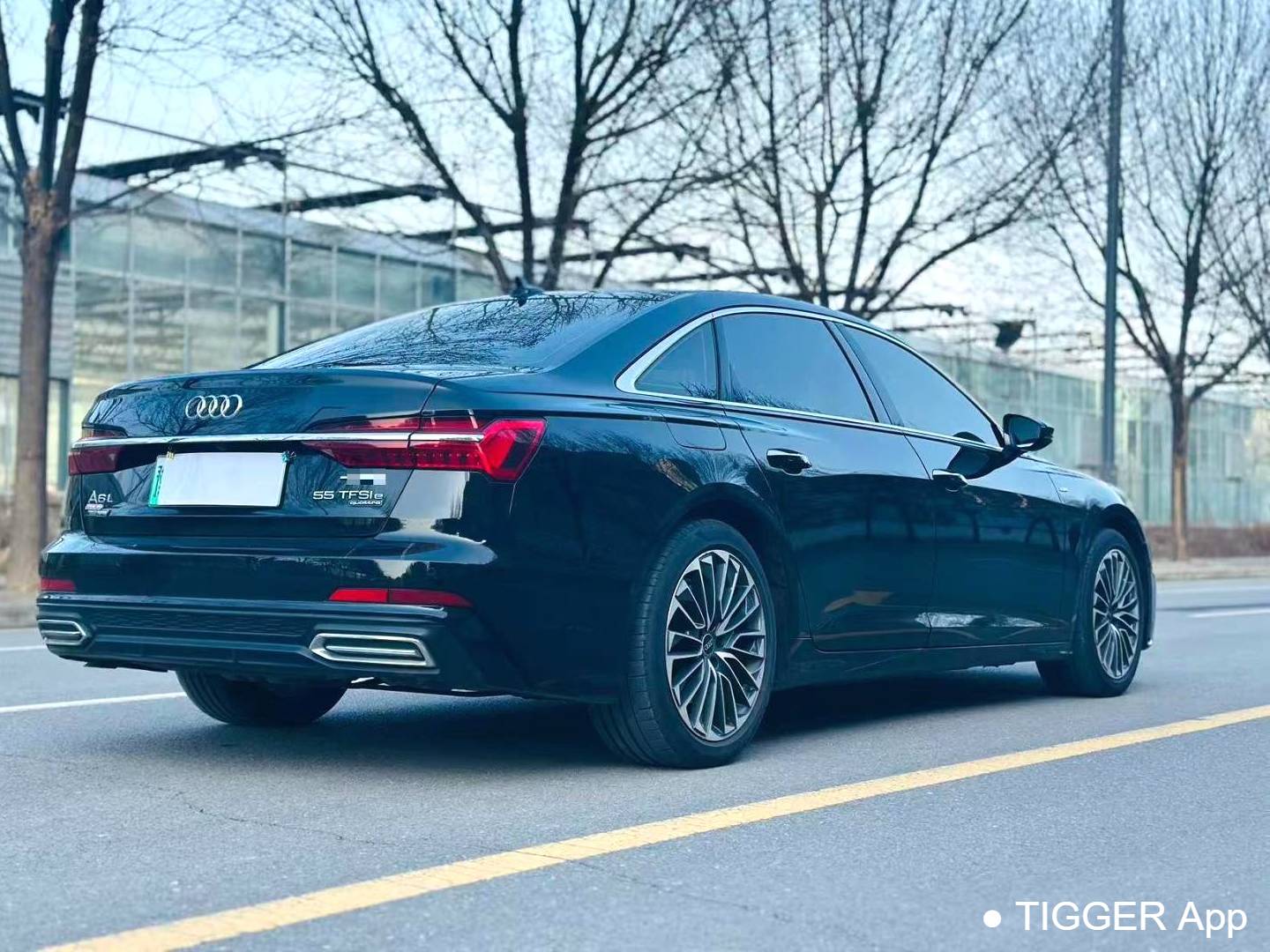 Audi A6L New Energy 2023 A6L e-tron 2.0TFSI 55TFSI e Quattro Automatic Transmission