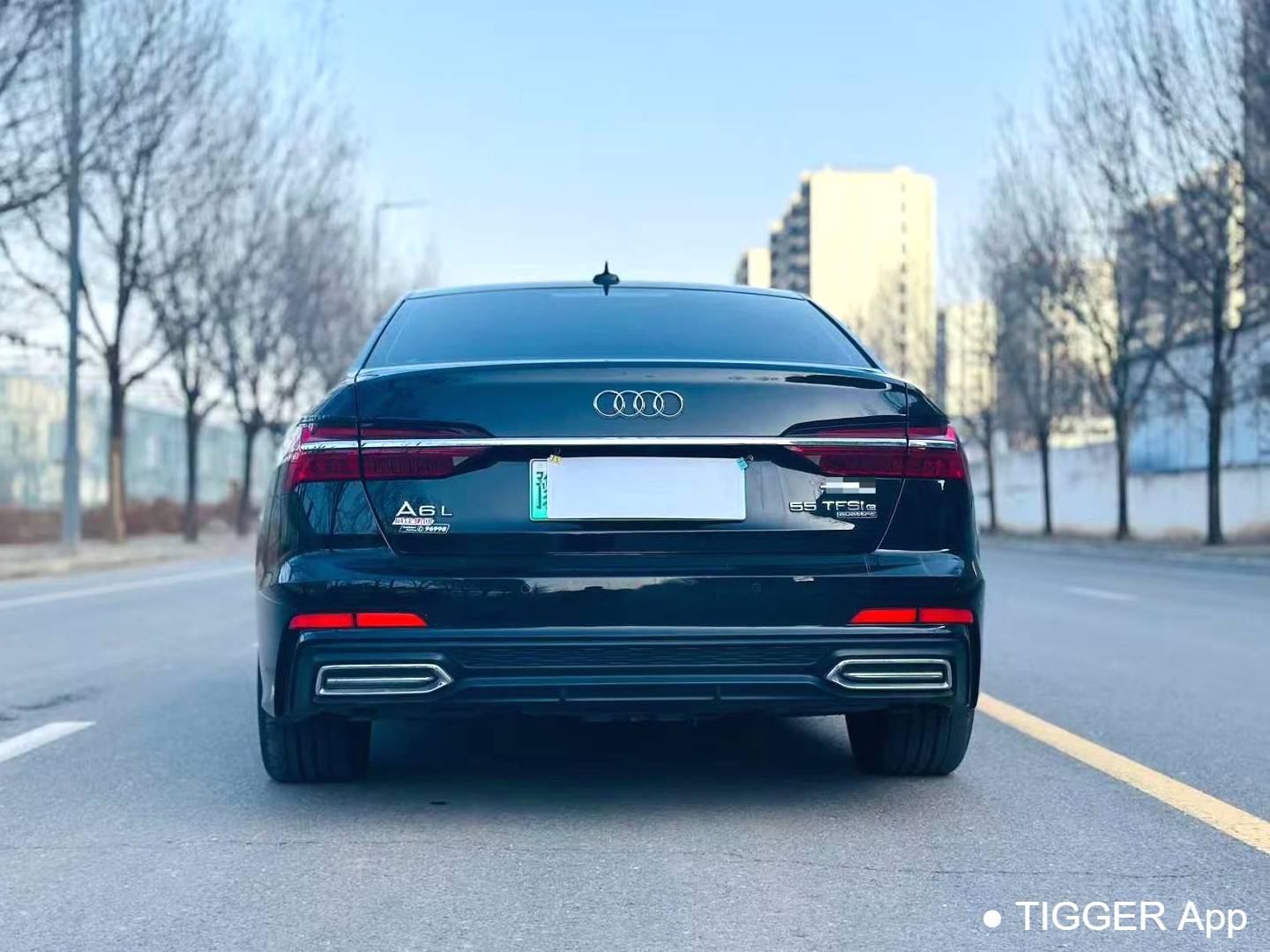 Audi A6L New Energy 2023 A6L e-tron 2.0TFSI 55TFSI e Quattro Automatic Transmission